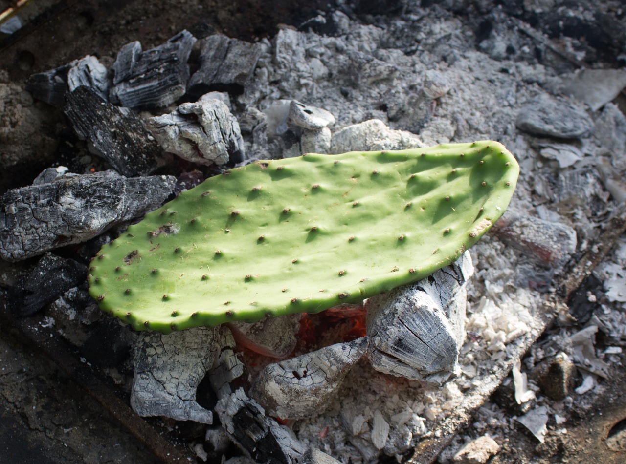 10 beneficios de comer nopales