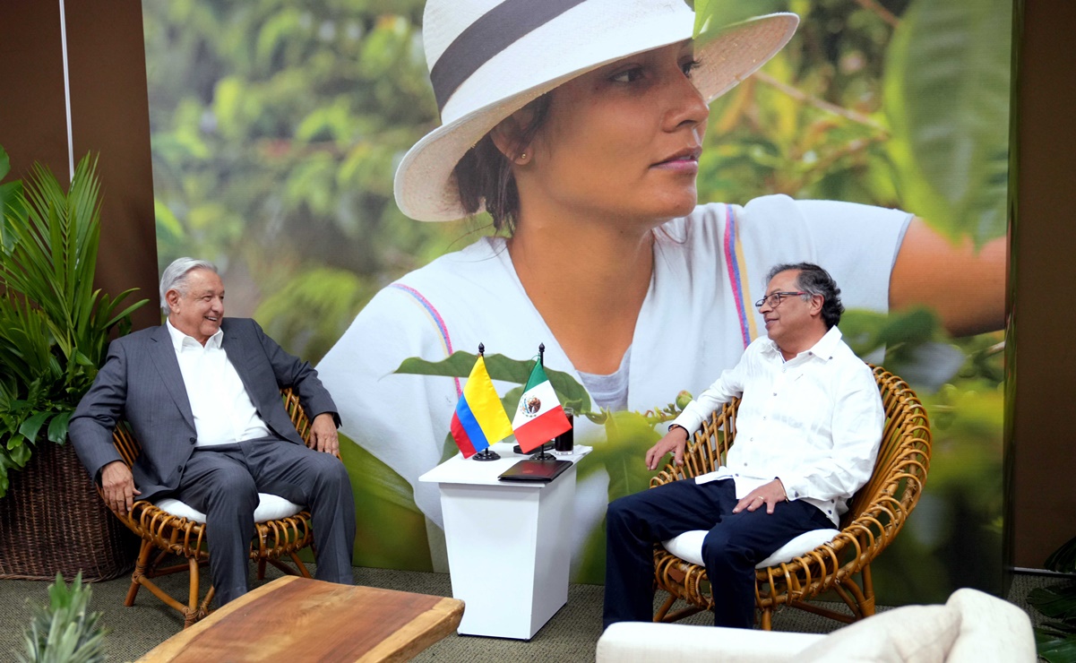 Nueva política de drogas de Colombia disminuirá producción de coca en 40%, dice ministro