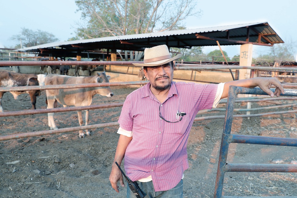 Dejó el ganado en Michoacán para levantarse en armas 