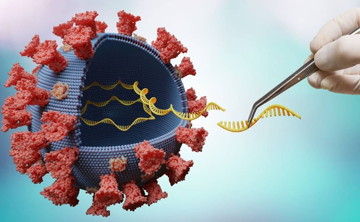 Las 5 mutaciones de la variante Delta del coronavirus que la hacen más contagiosa