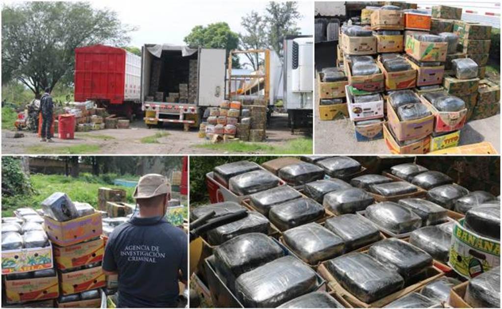 Over 5 tons of marijuana seized in Jalisco 