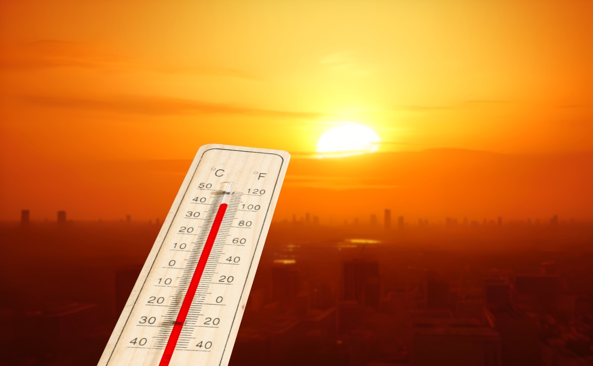 Ola de calor en Estados Unidos. 75 millones de afectados por temperaturas de hasta 40.5°C