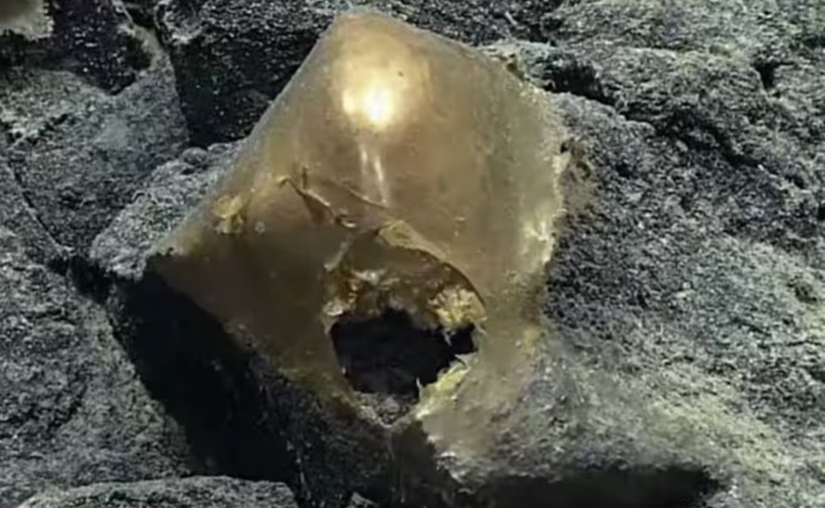 Hallan un “huevo de oro” en el fondo del mar de Alaska y crece el misterio