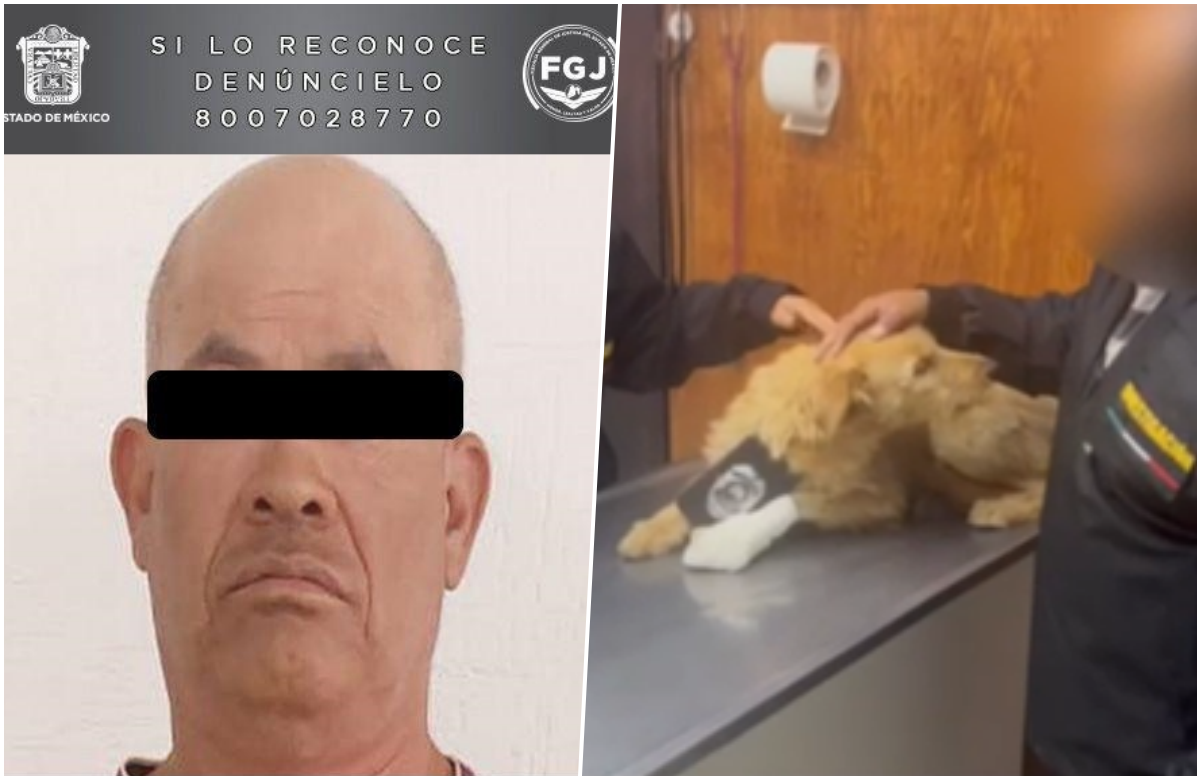 Hombre lanza explosivo contra perrito “Pelusa” en Atizapán de Zaragoza; lo detiene la FGJEM