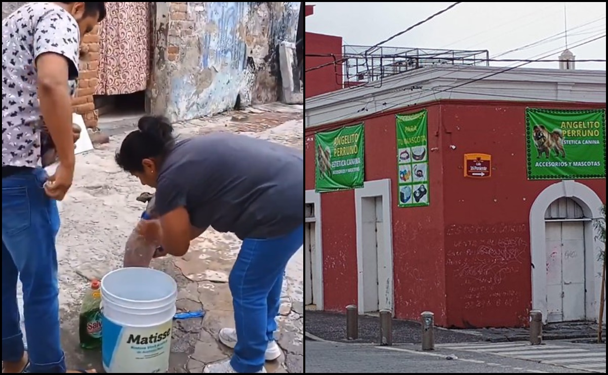 VIDEO: Denuncian a estética canina por bañar a perros con jabón para trastes en Puebla