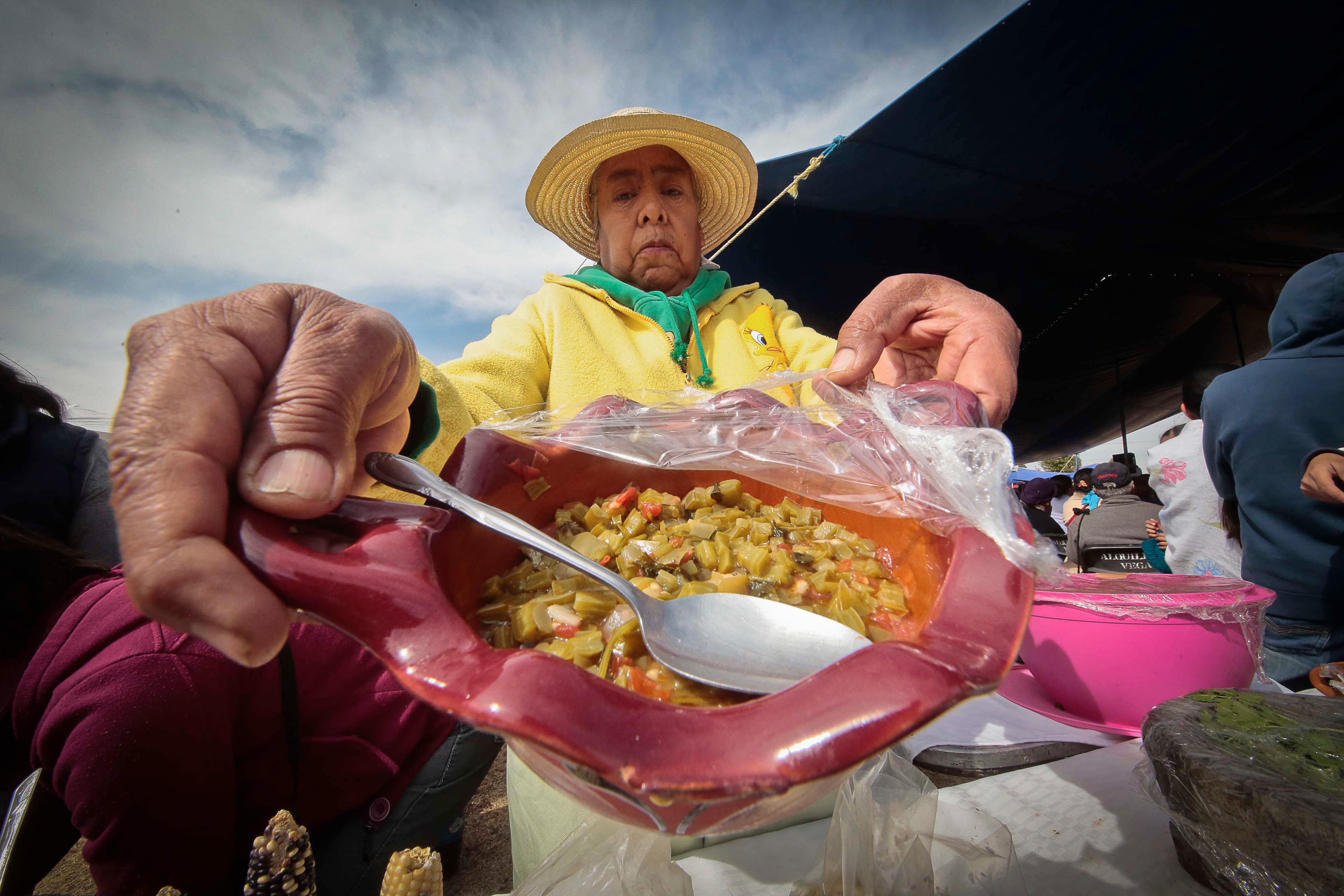 Preparan iniciativa de alimentación