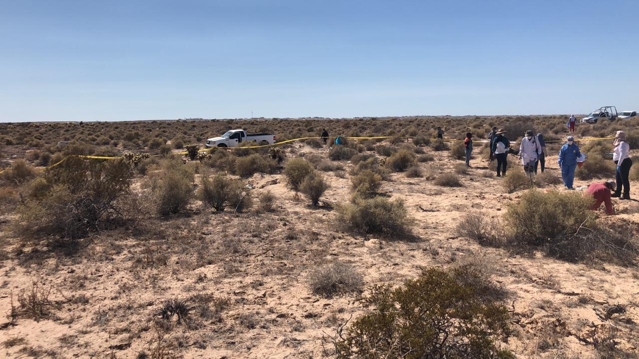 Localizan 13 cuerpos en una brecha de una carretera en Sonora