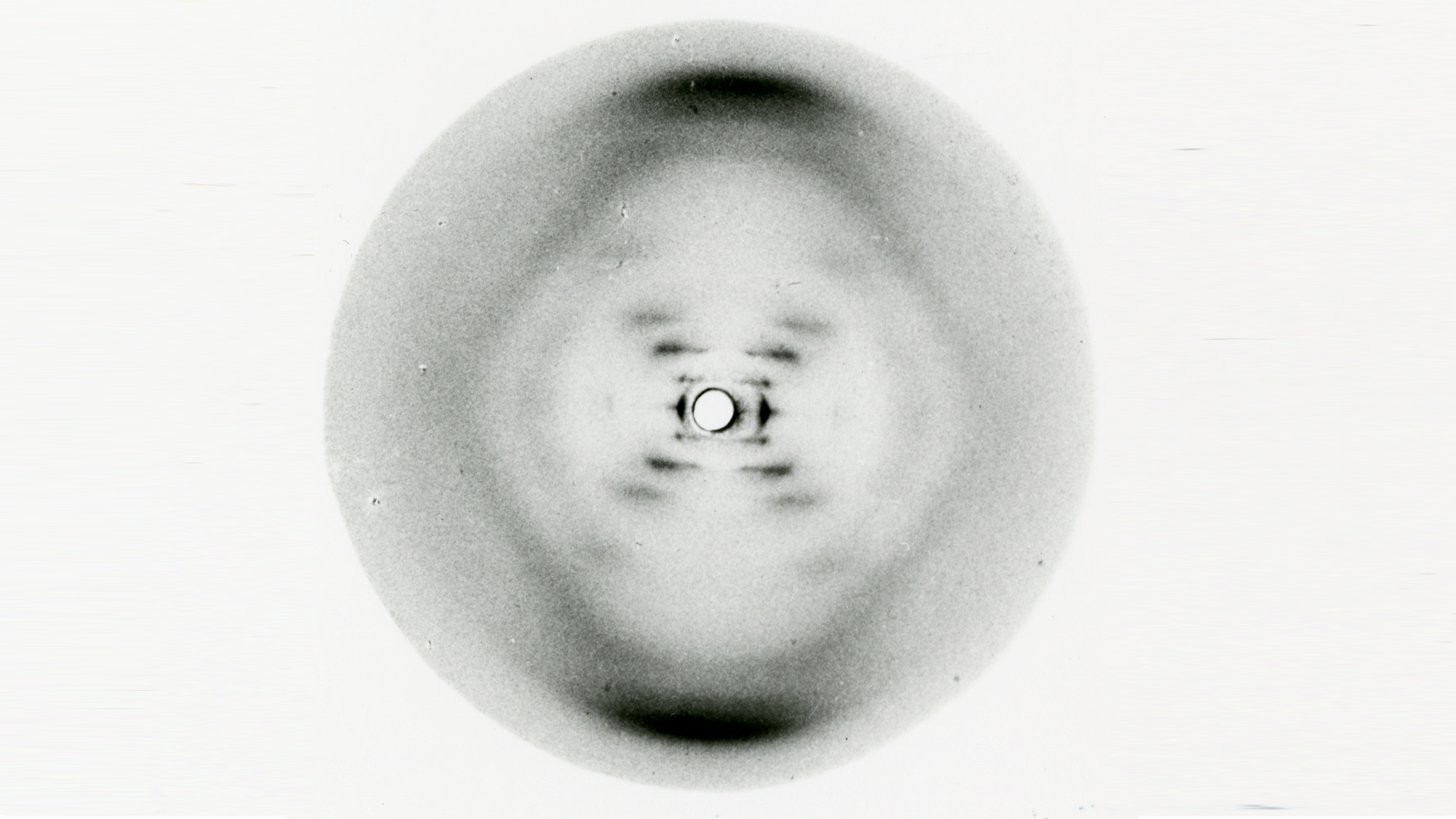 Foto 51: la fascinante historia detrás de la célebre imagen de Rosalind Franklin sobre la estructura del ADN