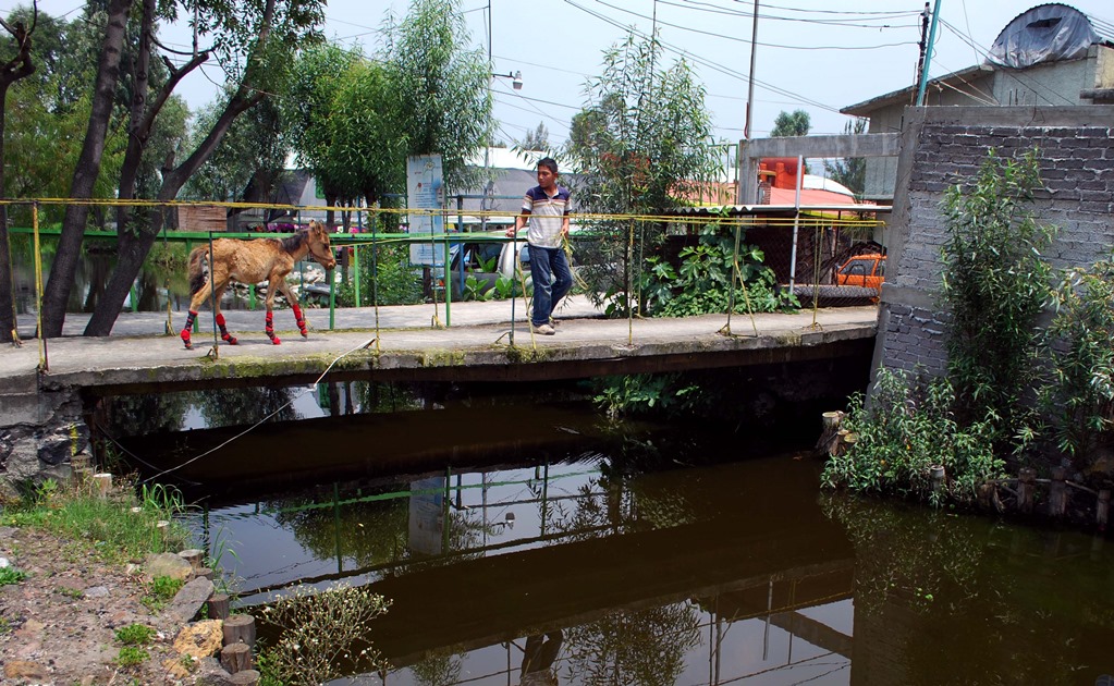 ​Destina Xochimilco 10 mdp a sistema de captación de agua de lluvia