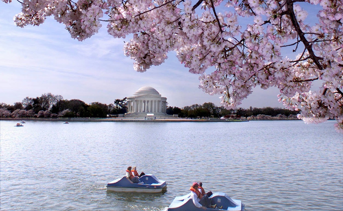 Las 7 mejores atracciones turísticas en Washington D.C. 