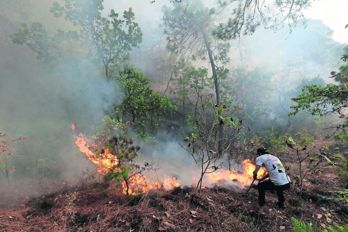 Mantienen brigadas para evitar incendios en Valle de Bravo