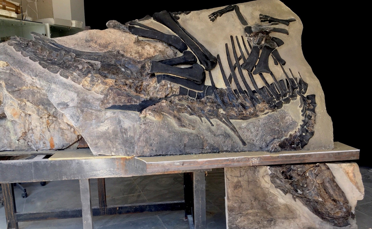 Extinción de hace 233 millones de años dio paso al reinado de los dinosaurios