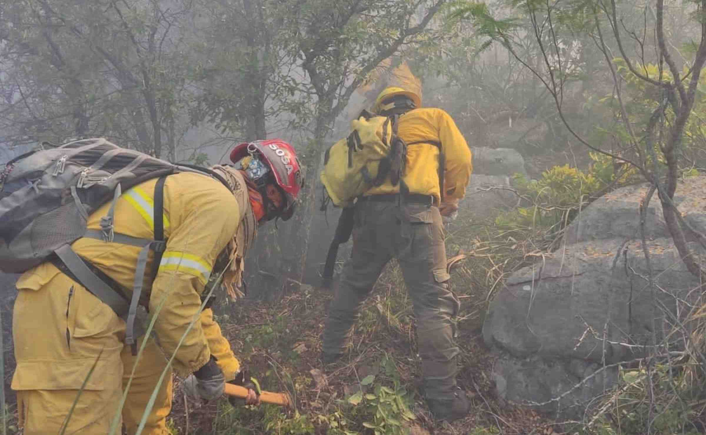 Reportan nuevo incendio forestal con 15 hectáreas dañadas, inicio en Tamaulipas y avanzó hacia Nuevo León