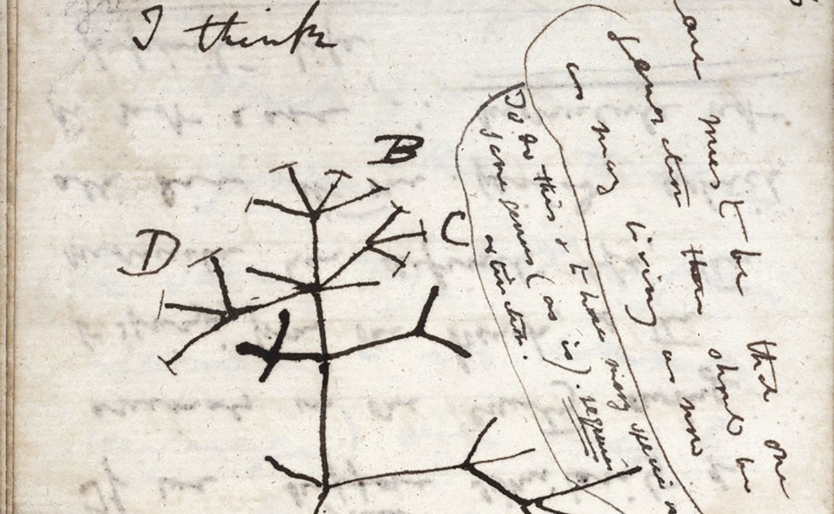 La Universidad de Cambridge llama a recuperar dos cuadernos de Darwin que da por robados