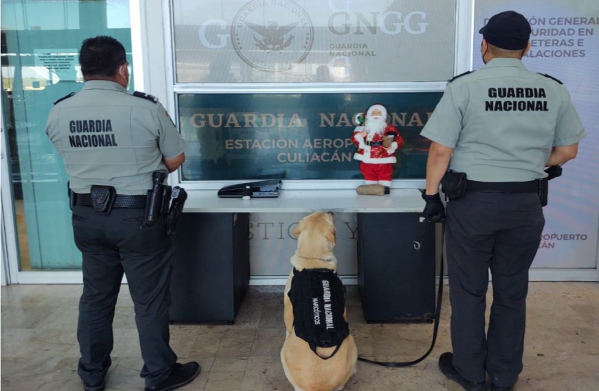 Perritos hallan droga dentro de figura un Santa Claus en Culiacán