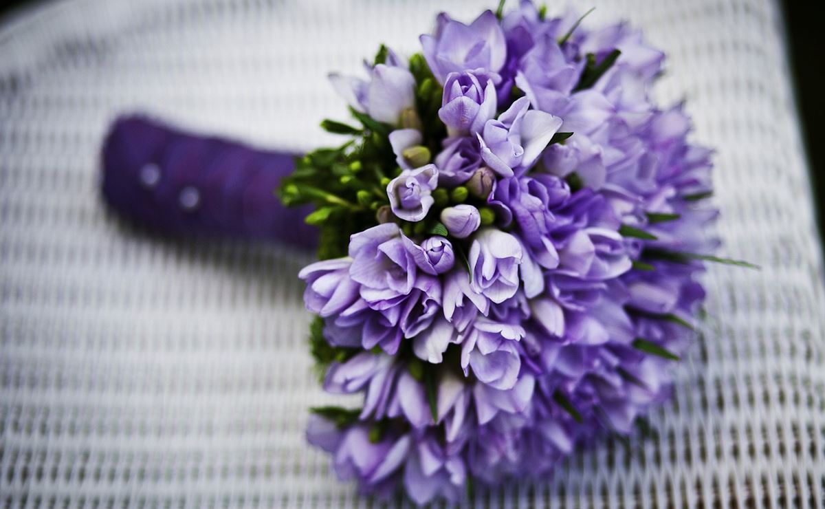 ¿Por qué regalar flores moradas este 9 de octubre y qué significa?