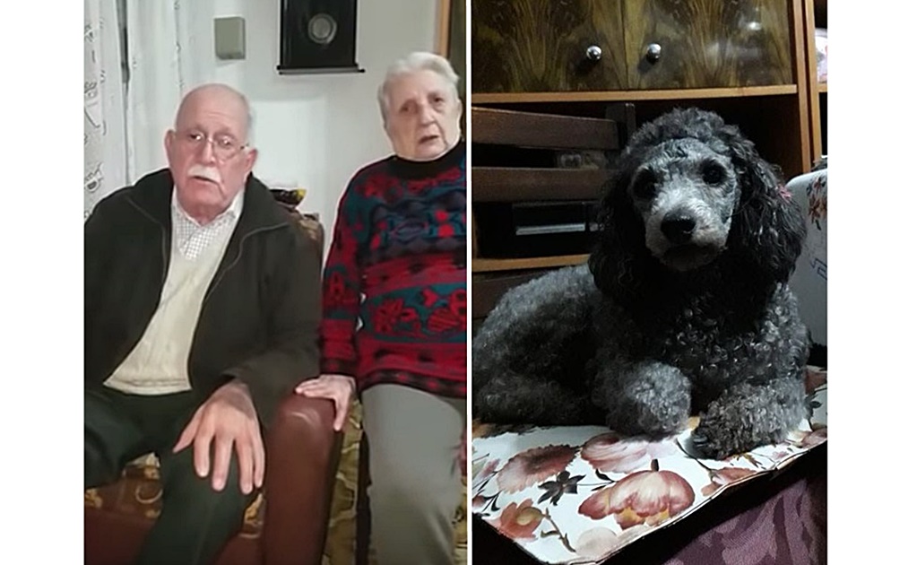 Video. Pareja de adultos mayores ofrece su jubilación para recuperar a su perrita robada