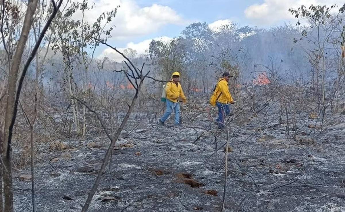 Arde el Cono Sur de Yucatán por incendios forestales fuera de control