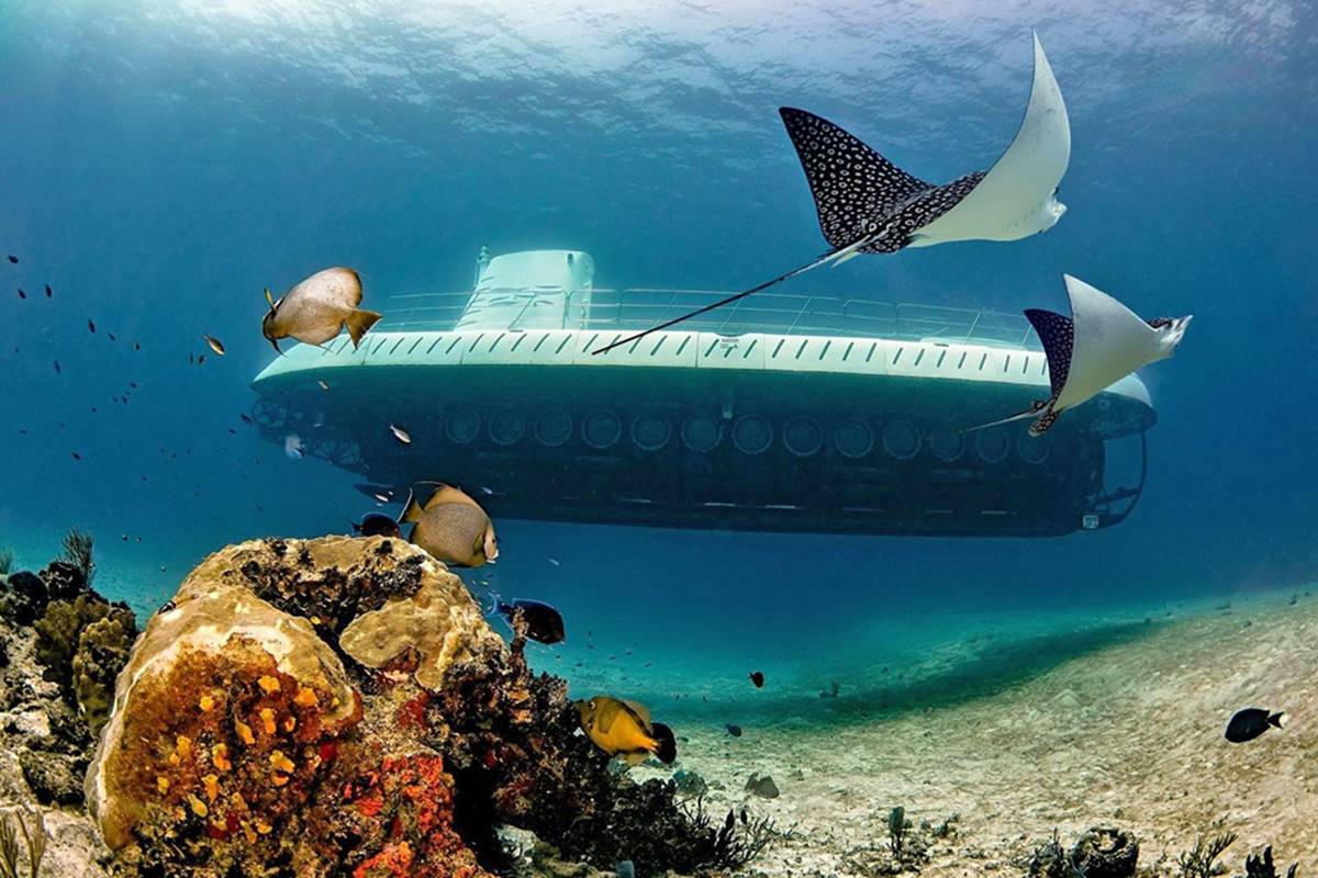Cuánto cuesta un viaje en el único submarino turístico de México