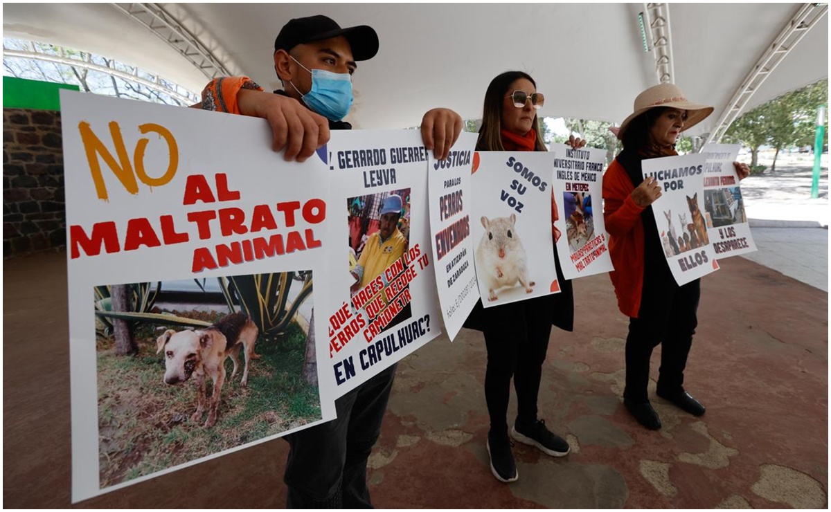 Impulsan en San Lázaro rescate de animales de compañía que sean víctimas de maltrato en propiedad privada