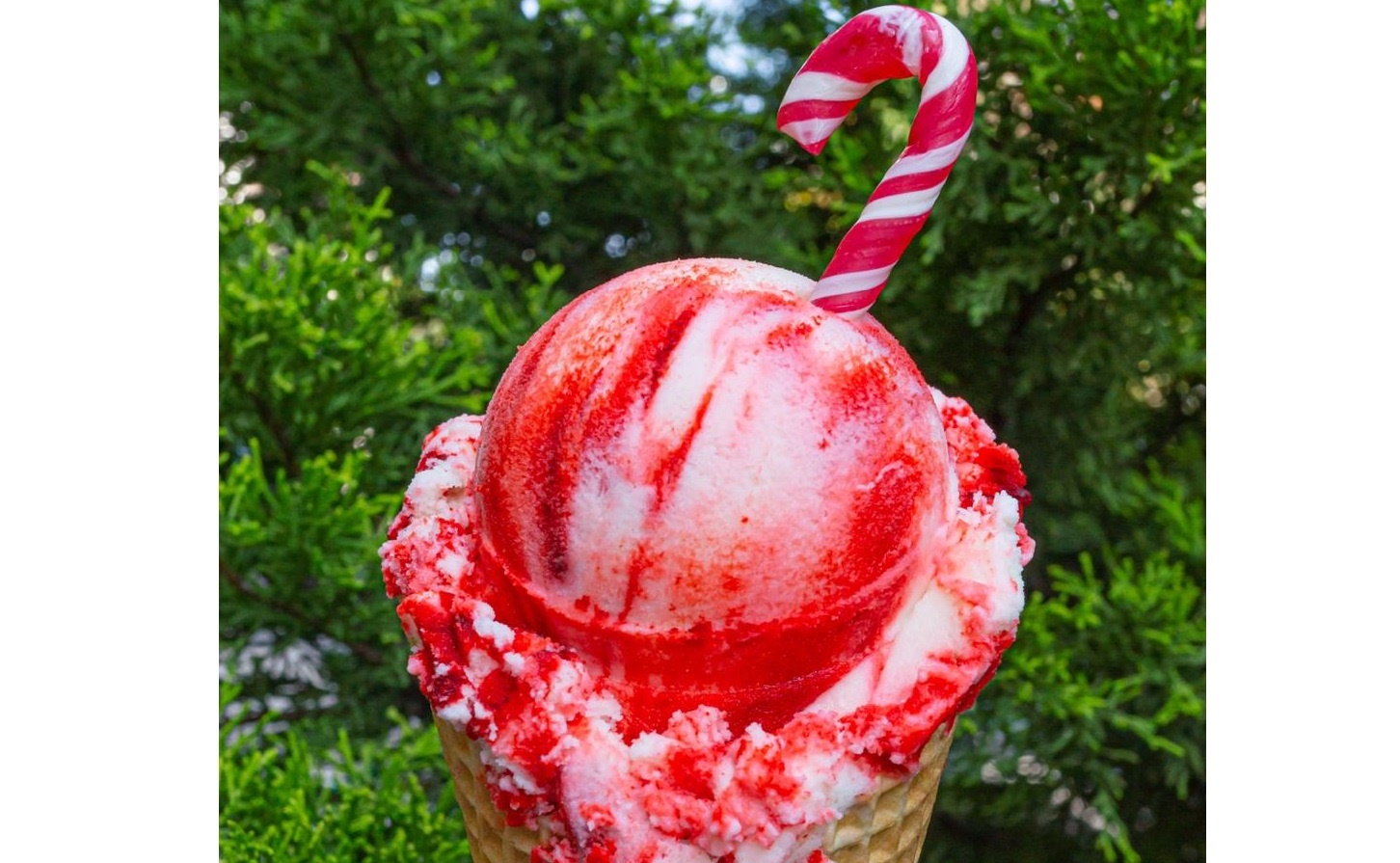 Descubre el helado con sabor a sidra