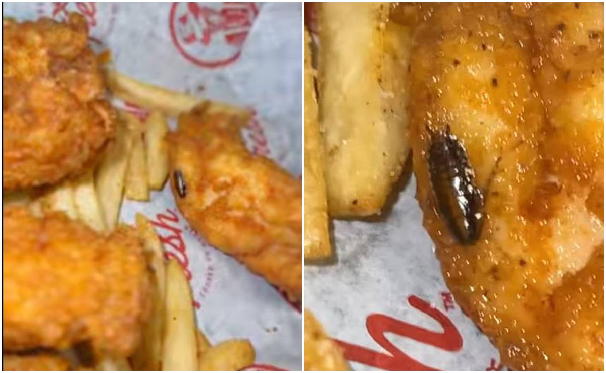 Video. Mujer encuentra cucaracha en pollo de restaurante de Florida