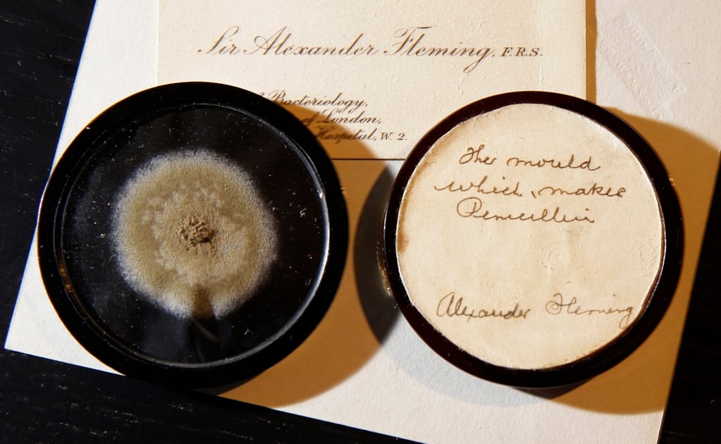 Subastan espécimen de moho que se usó en la creación de la penicilina