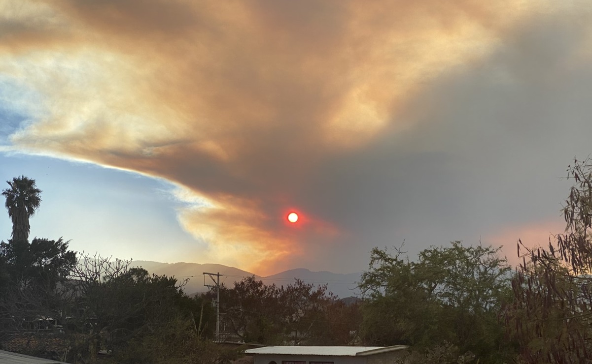 Incendio forestal “tiñe de rojo” cielo de Oaxaca; se registran 25 siniestros en el estado