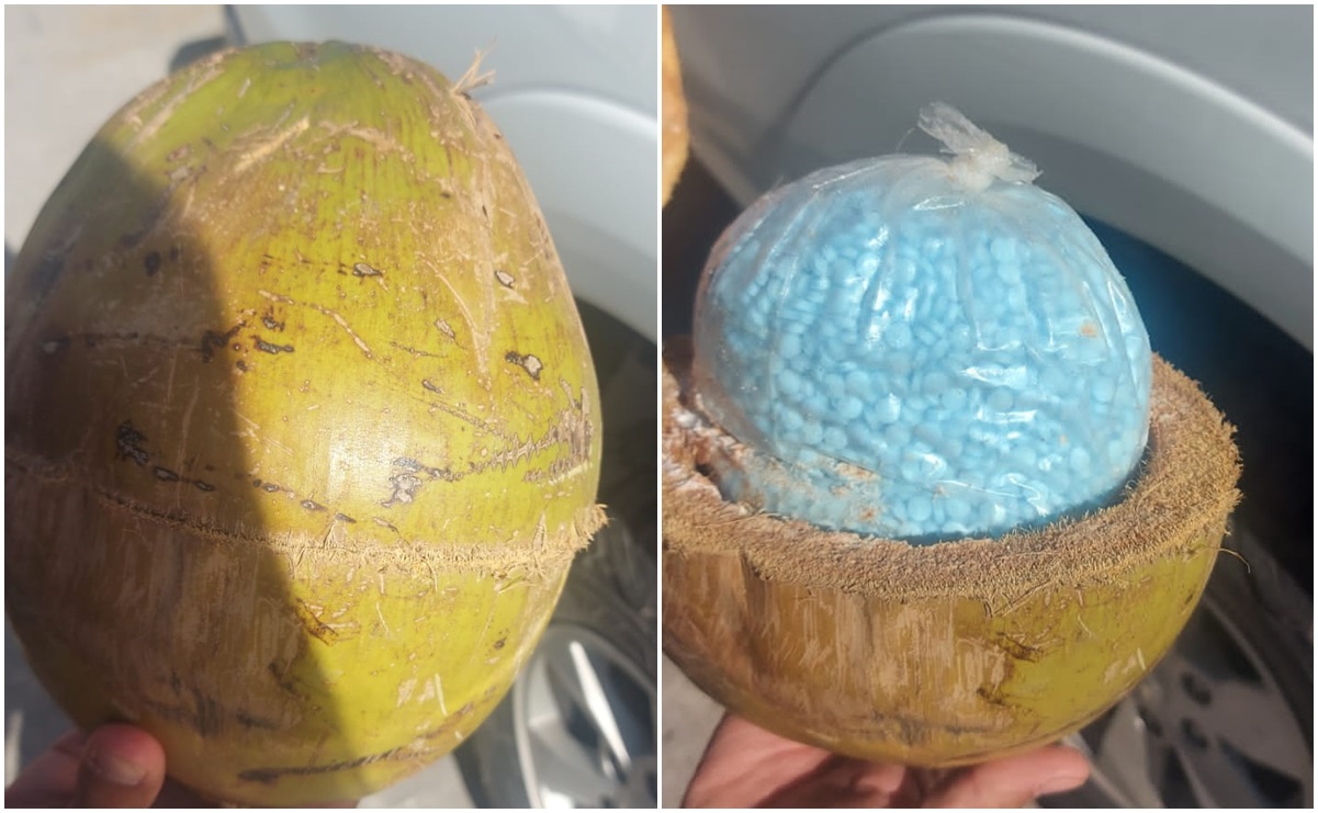 FGR encuentra 300 kilos de fentanilo ocultos en cocos