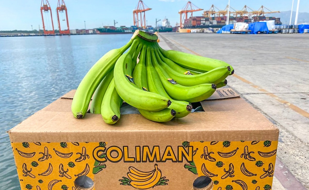 Sale de Colima primer embarque de plátano a China