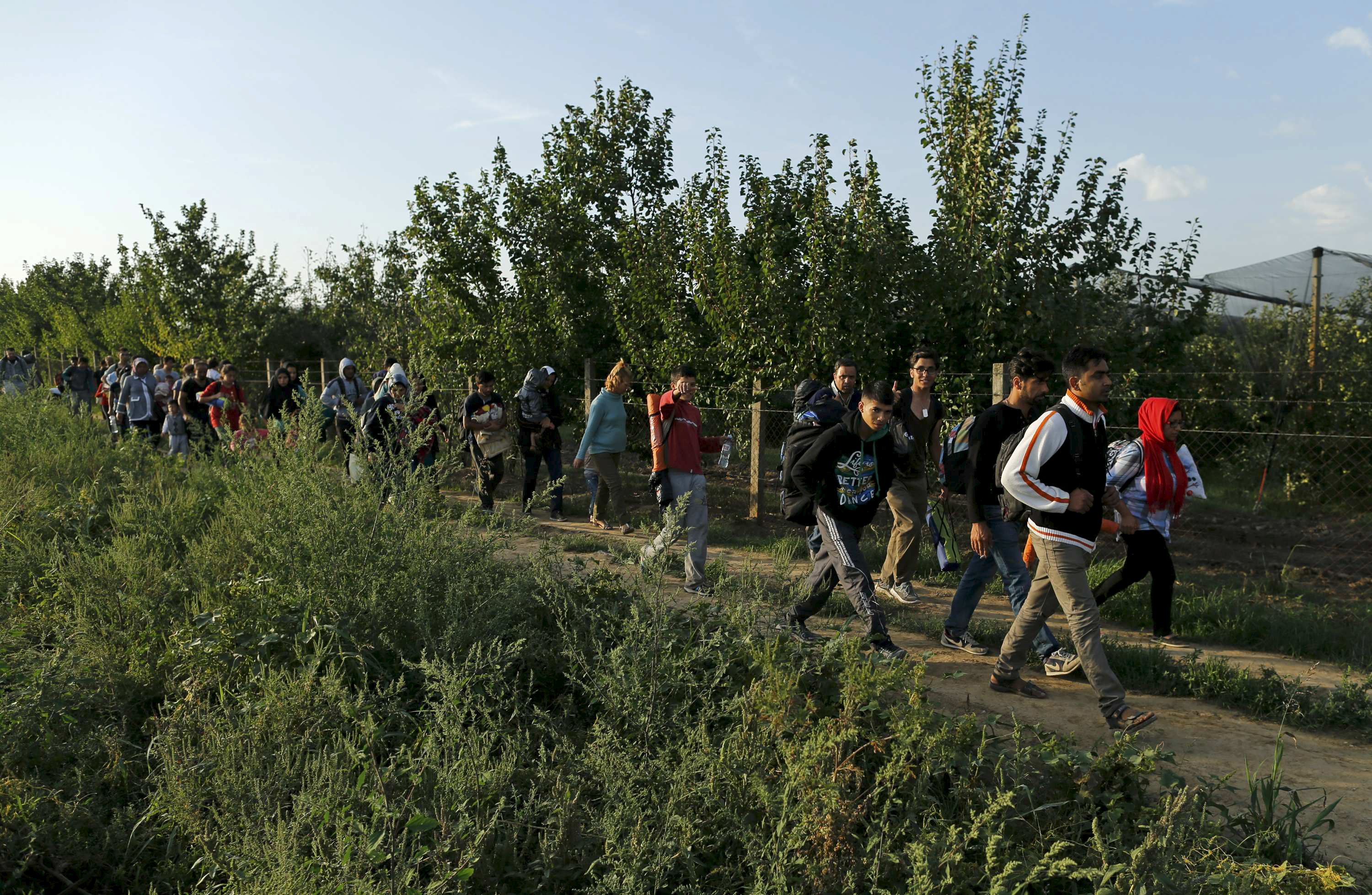 Croacia y Eslovenia piensan en corredores para refugiados
