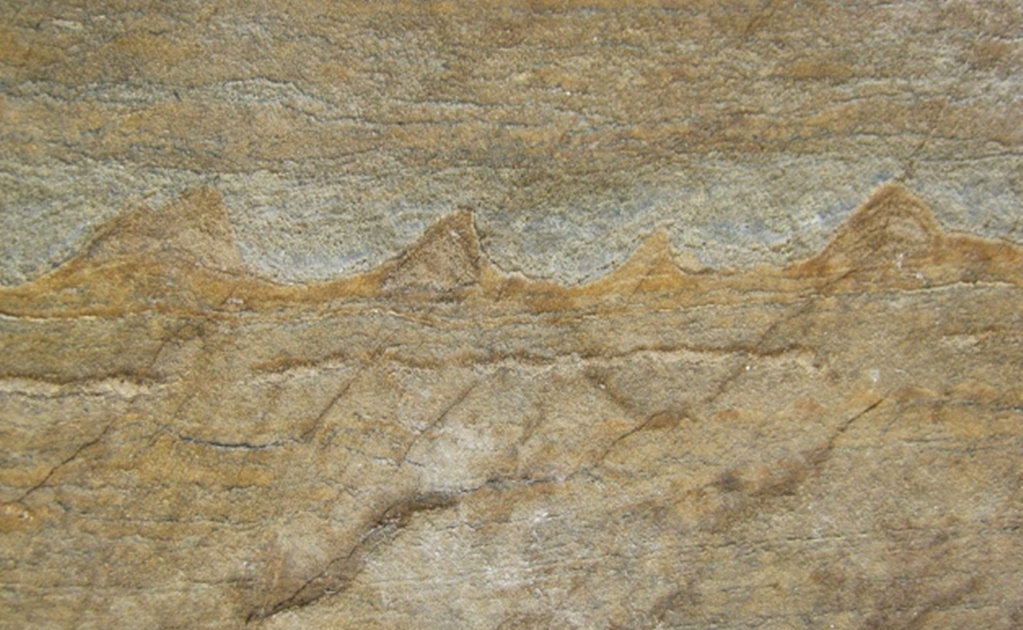 El fósil más antiguo es encontrado en Groenlandia