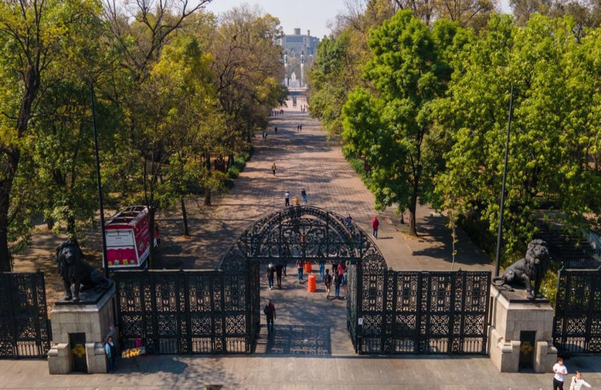 Destacan en Senado reforestación del Bosque de Chapultepec; disminuyeron contingencias ambientales, aseguran