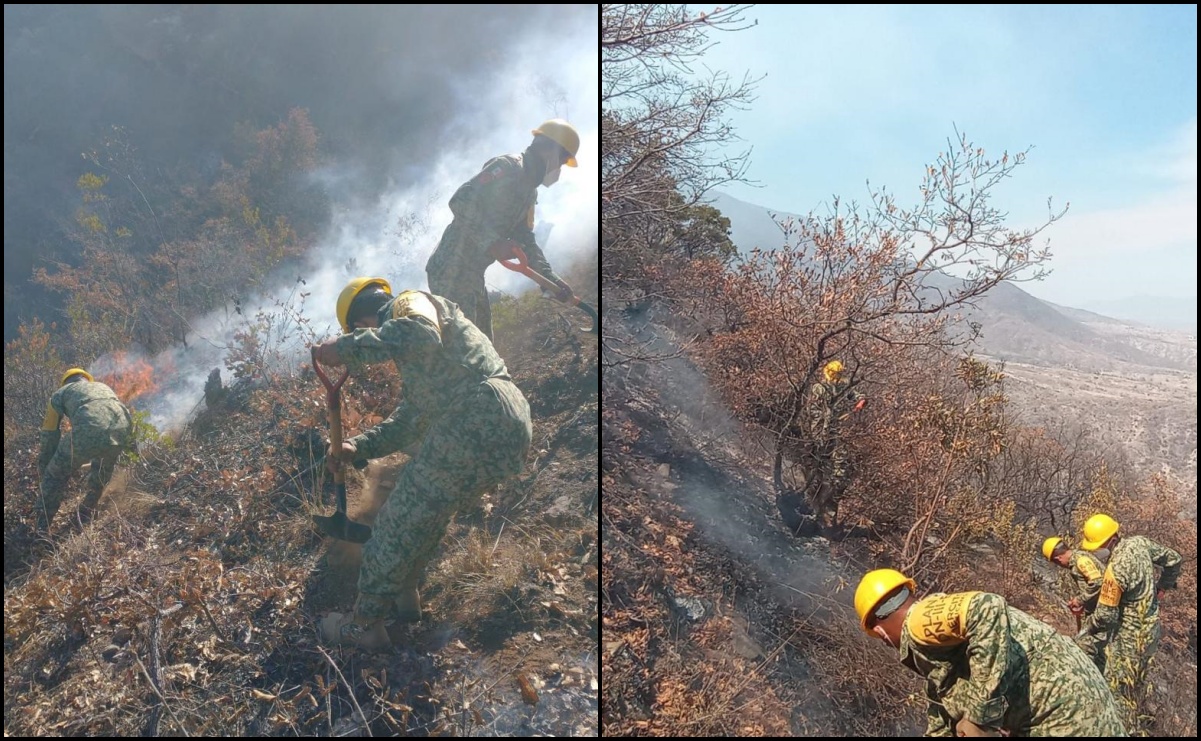 Incendio forestal en Oaxaca cumple 100 horas; se combate por 2 frentes: Gobierno