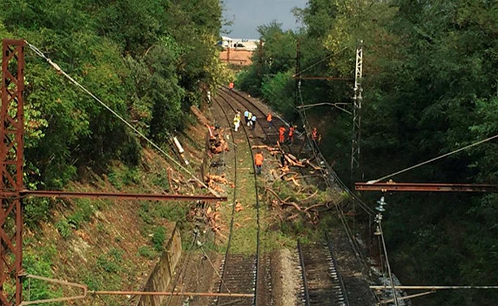 Tren choca contra árbol en Francia; hay decenas de heridos 