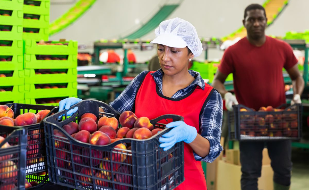 Los latinos en Estados Unidos son ya la quinta economía mundial, según un estudio de la UCLA