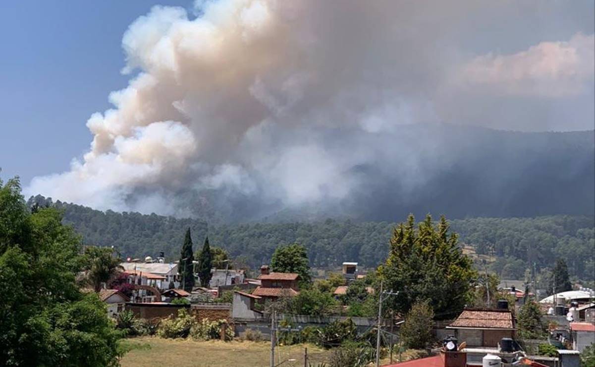 Mueren tres personas en incendio forestal en el Cerro de La Tina 