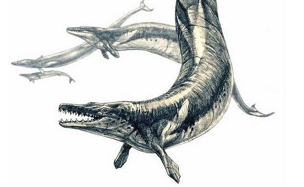 Basilosaurus, un depredador marino que devoraba ballenas