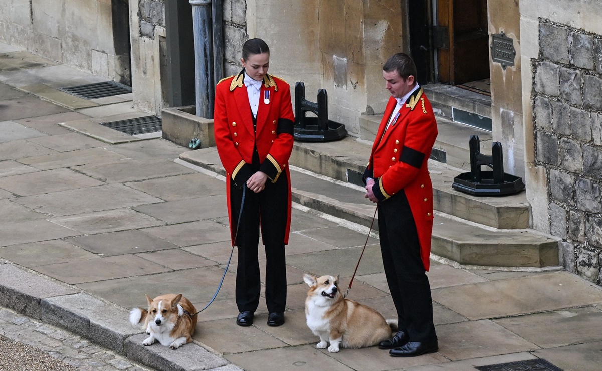 Los corgis de la reina Isabel II también están presentes en el funeral de la monarca