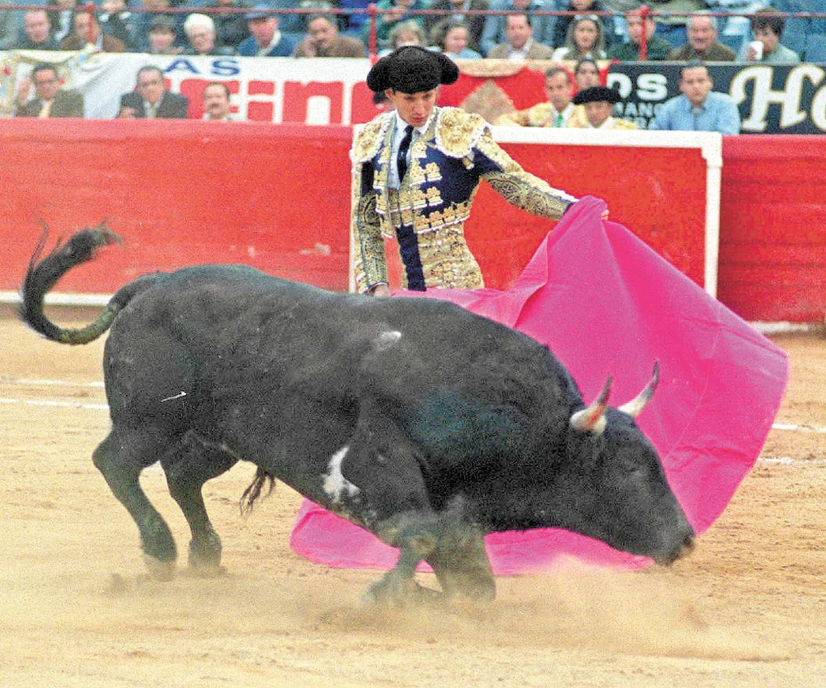 Torero Económico Adulto