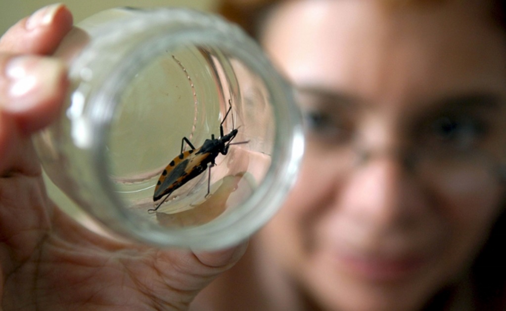 Mexican scientists develop drug against Chagas disease
