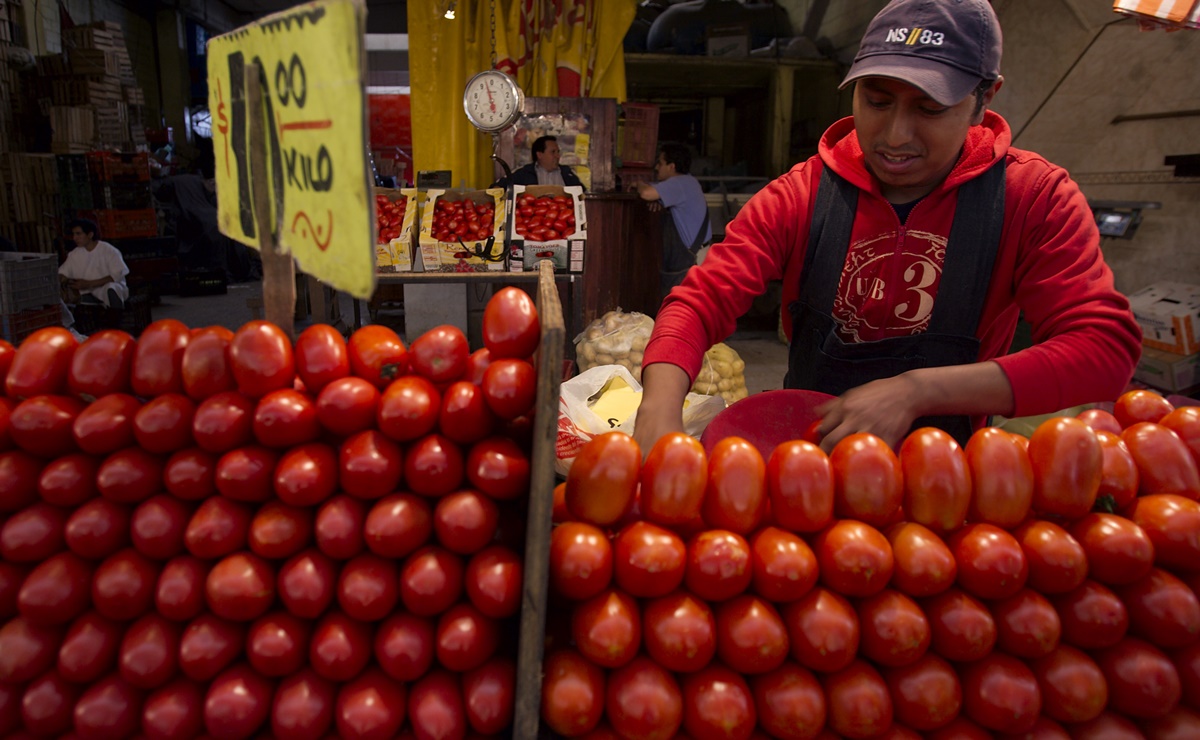 Prohíben viajar a Estados Unidos con chiles y jitomates desde México