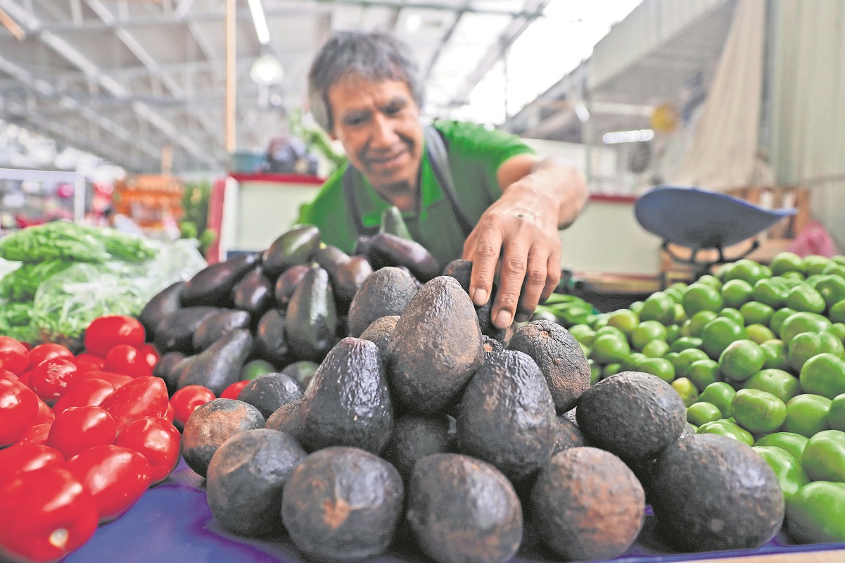 Aguacate, con la mayor alza; limón baja de precio en Querétaro 