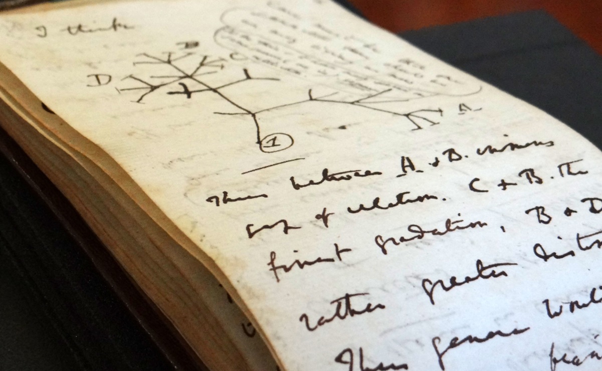Devuelven cuadernos del científico Charles Darwin tras dos décadas de estar perdidos