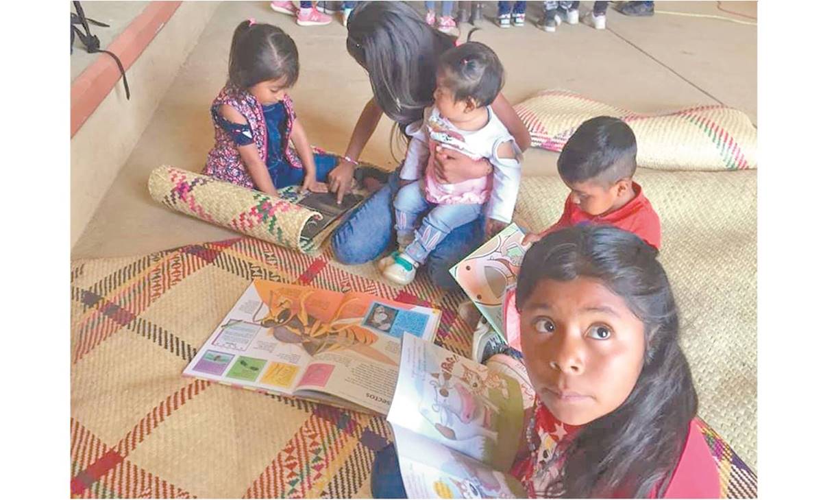 Oaxaca: Pixk, el libro para niños que salva a la lengua ayöök