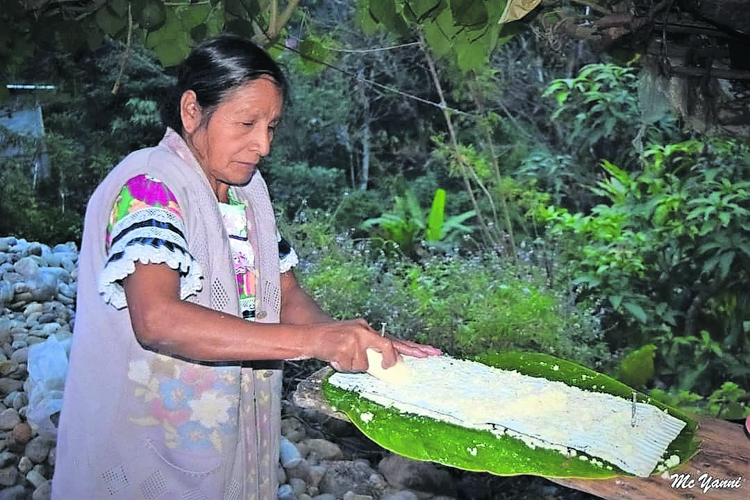 Con sabor a yuca, un platillo de raíz mestiza