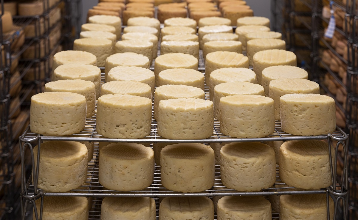 Apuntes sobre el World Cheese Awards 