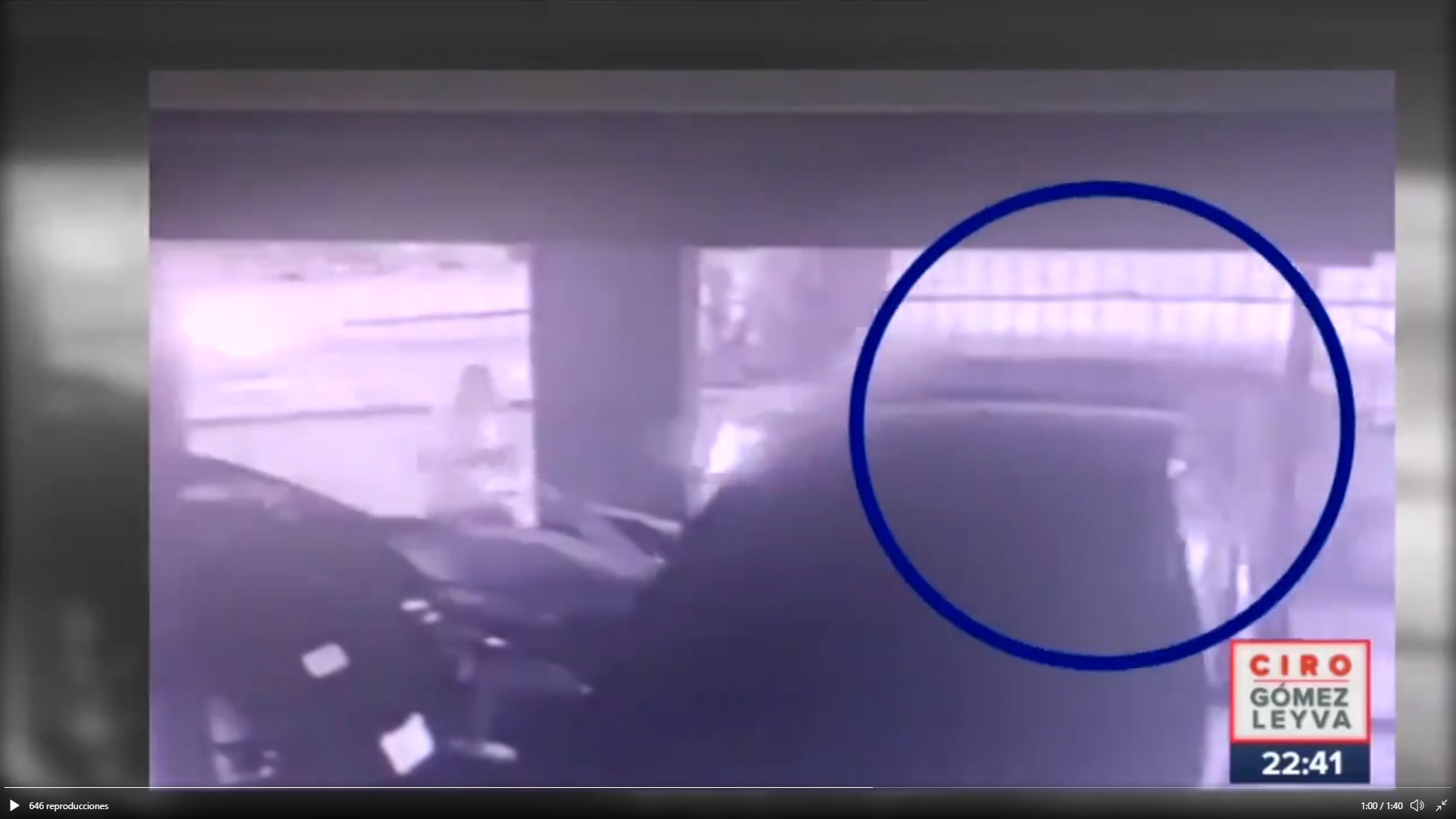 Videos captan a Polly debajo del auto que la arrolló por varias cuadras