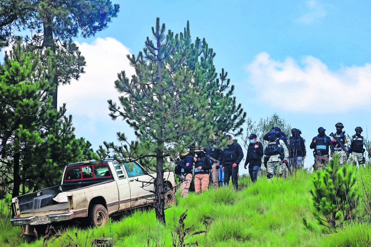 Dos cárteles controlan la tala ilegal en la CDMX