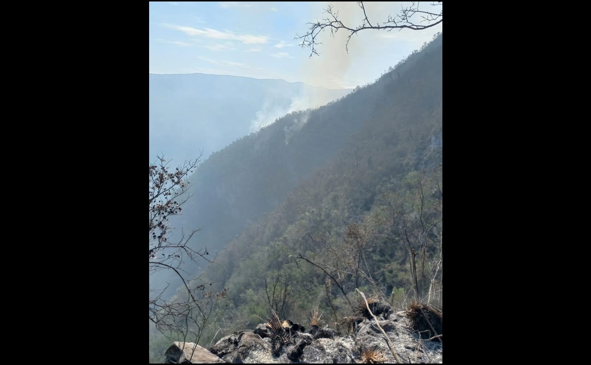 Combaten dos incendios forestales en la biósfera “El Cielo” en Tamaulipas